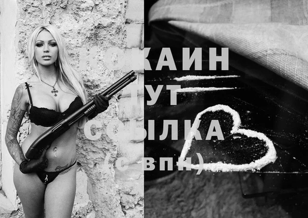стафф Армянск