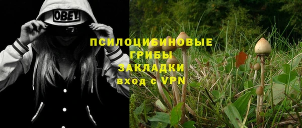 стафф Армянск