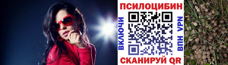 Псилоцибиновые грибы мицелий  нарко площадка состав  Лагань 
